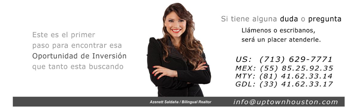 Azzenette Realtor