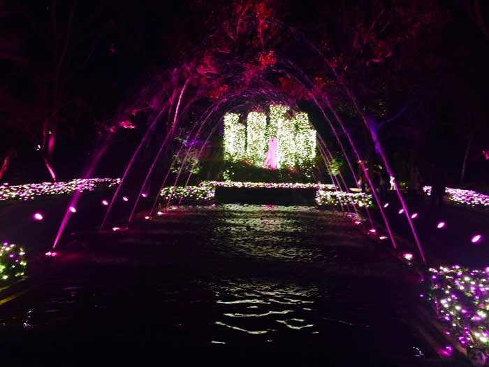 Holiday Season in Houston