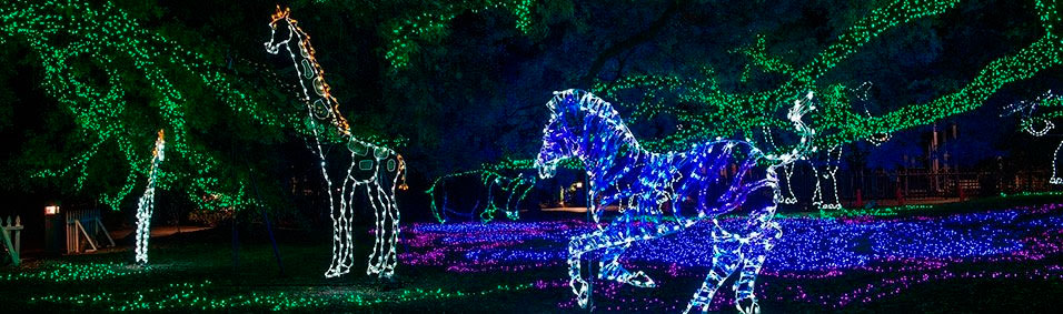 Houston's Holiday Spirit Soars High this December