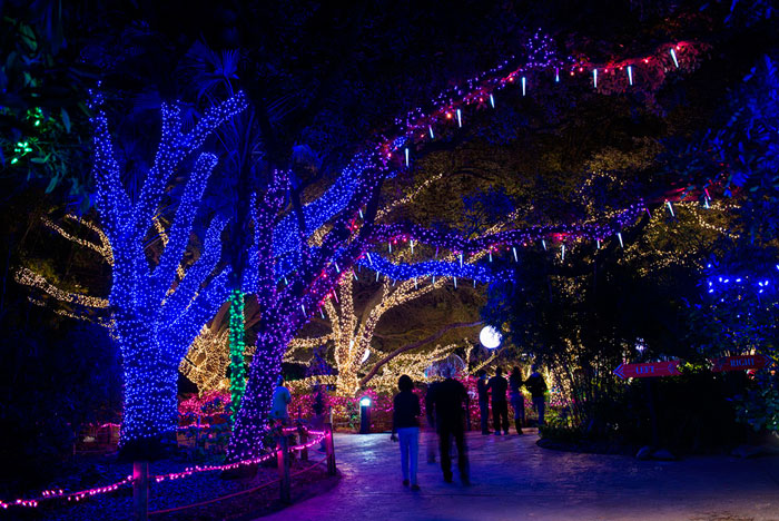 Houston's Holiday Spirit Soars High this December